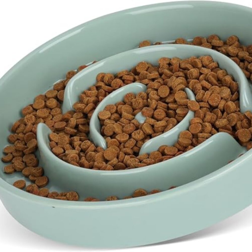 Ceramic slow feeder bowl for cat dog puppy food - dishwasher safe